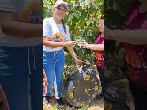 Socioproductivo de servicio de #MisiónRobinson del municipio Valmore Rodríguez 