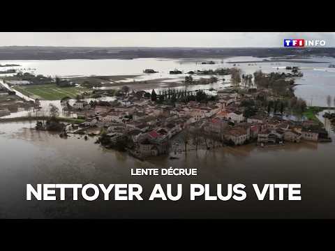 Lente décrue : nettoyer au plus vite｜TF1 INFO