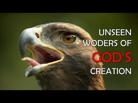 Unseen Wonders of God's Creation