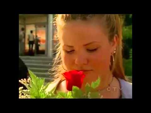 Degrassi - Time Stands Still: The Movie