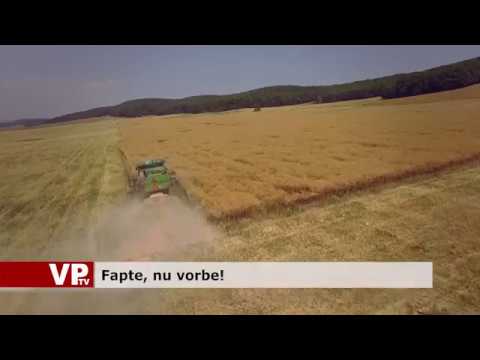 Fapte, nu vorbe!