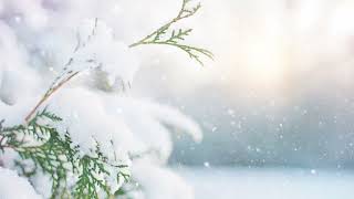 In the Bleak Midwinter