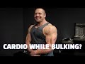 Should You Do Cardio While Bulking? (DON'T DIE!!!!!)