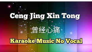 Download lagu Ceng Jing Xin Deng 曾经心痛 karaoke no vocal mp3