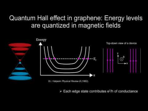Didi Wei Electrical Generation and Detection of Spin Waves in Graphene QHE