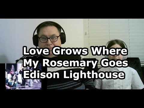 First time listening to Edison Lighthouse - LOVE GROWS WHERE MY ROSEMARY GOES (1970)