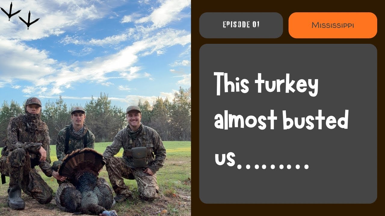 Mississippi bird down!!