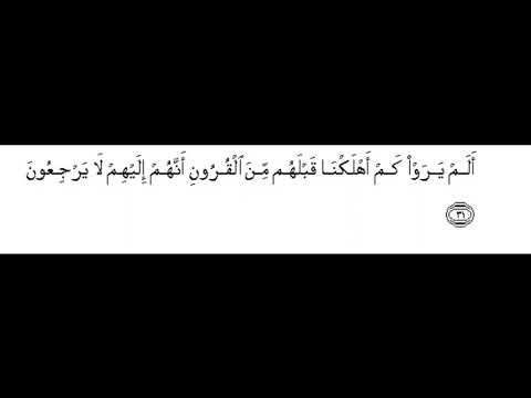 Surah Yaseen recitation 31 to 40 with verses