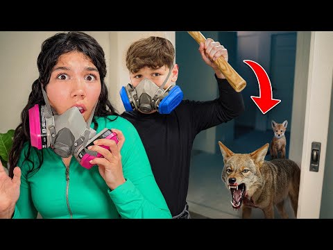 A Coyote Was in Our House (Watch What We Did)