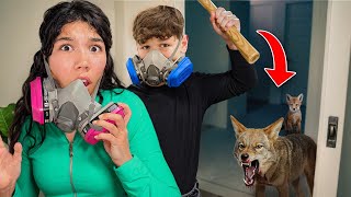 We Found A REAL COYOTE in our House! (INSANE)