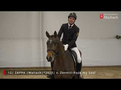 Katalog Nr. 12 Zappa