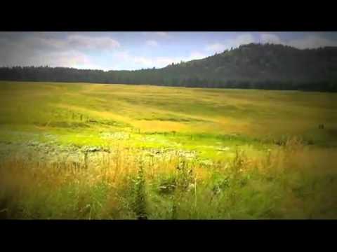 Cazare Viscri - Cazat.ro