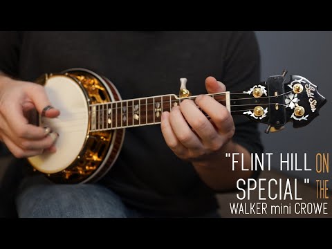 Flint Hill Special - Walker Mini 5-String Banjo