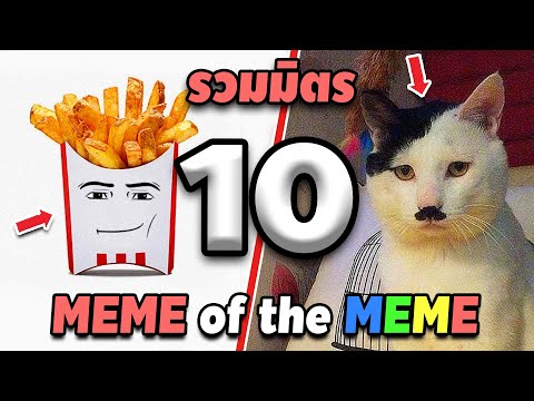 รวมมิตร ภาพนี้ก็ฮาเหมือนกันนะเนี้ย #10 SS2 [ พากย์นรก MEME.EXE ] | easy boy