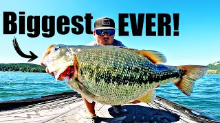 The World Record Bass Chase Is OVER!