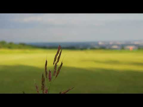 Tucumán | Yerba Buena | Aero Club Tucumán | Enero 2026