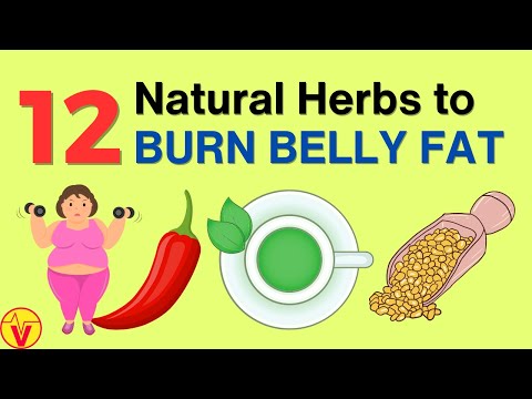 , title : '12 Natural Herbs to Burn Belly Fat | VisitJoy'
