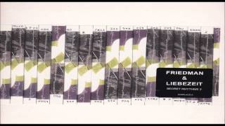 Burnt Friedman & Jaki Liebezeit - The Librarian feat.David Sylvian