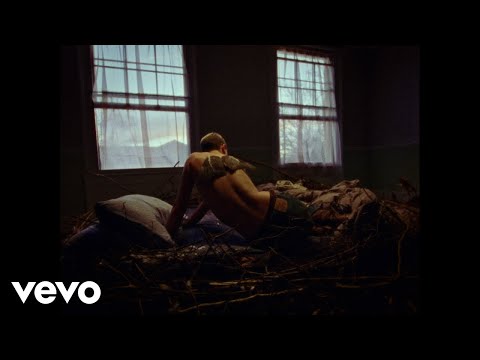 Tiberius b - Delicate People (Visualizer Video)