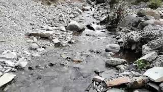 preview picture of video 'Little stream in Ser Tandula (Himachal Pradesh)'