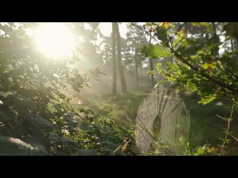 LIVIU HESS - STATE   ,,Drumul Crucii!" (Official Video)