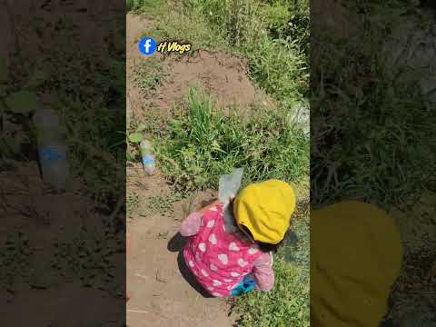 Manantiales Secretos en Jalpa de los Baños y Colonia Cuauhtémoc Ixtláhuacá😱⚠️Se DESBORDARA el Rio⁉️