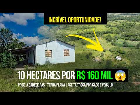 CHÁCARA 10 HECTARES POR R$ 160 MIL | Prox. a Cabeceiras | Plana | Aceita Troca por gado e veículo