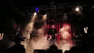 22-Pistepirkko - Birdy