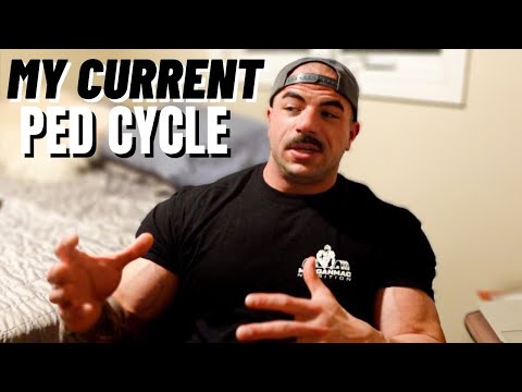 OFFSEASON UPDATE | MY CURRENT PED CYCLE