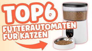 Die 6 BESTEN Futterautomaten für Katzen 2025 im Vergleich!