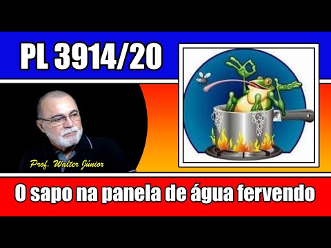 PL 3914/20: O sapo na panela de água fervendo