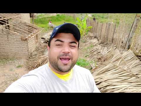 BABAÇU LOVE 🌴💛🌴