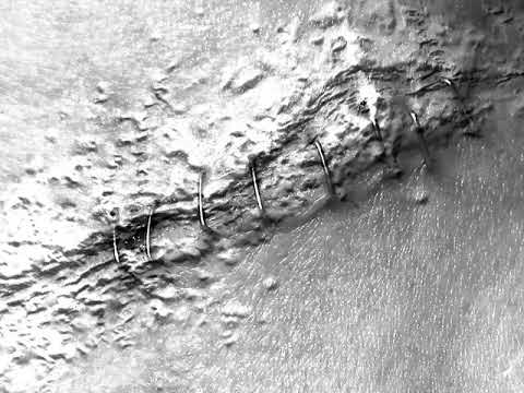 Neugeborene Nachtmusik 'Range of the Weak Force'