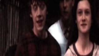 Pavlov&#39;s Bell - Ron/Hermione