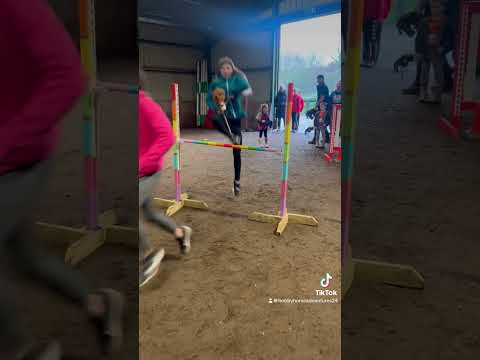 Demir joined us in a demo of what we do at our competitions (link in bio to book on!) #hobbyhorse