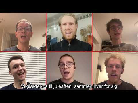 MAGT - Skille-dig-af-med-mink-skal-du