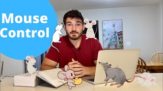 How To Get Rid of Mice | EVERYTHING You NEED to Know