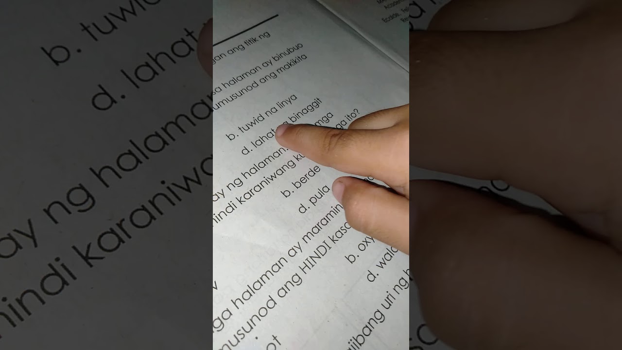 Putar video Bilugan ang titik ng tamang sagot hinggil sa mga halaman sekarang Bilugan ang titik ng tamang sagot hinggil sa mga halaman