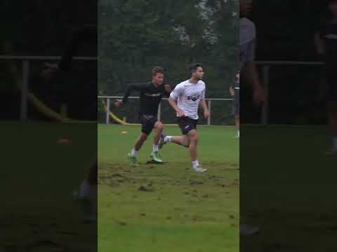 ODM 2022 - German Nationals 7 Schwaben vs. BORA #shorts #ultimatefrisbee #ollihphoto