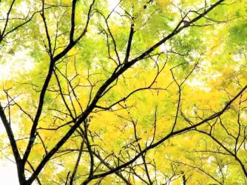 Sir Arnold Bax: Folk Tale for cello and piano