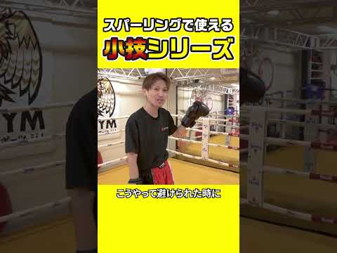 【スパーリングで使える】スパーリングで使える小技シリーズ！