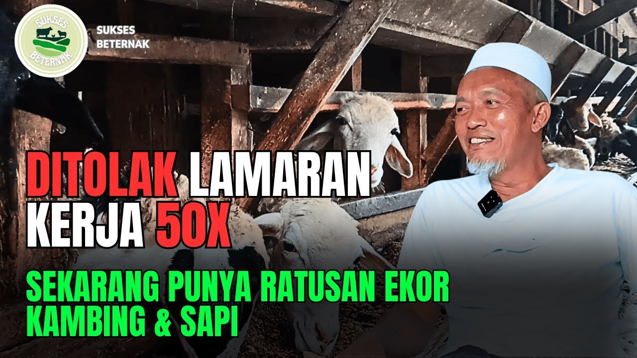DITOLAK LAMARAN KERJA 50X, TAPI MASIH TERUS BANGKIT!!! | KISAH SUKSES BAROQAH FARM LAMPUNG