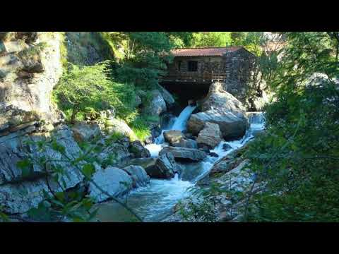 15 Minutes Flowing River Sounds with Bird Sounds: Relaxing Nature Sounds
