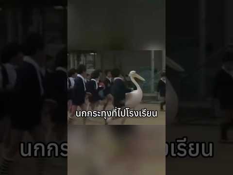 นกไปเรียน… #BadAi