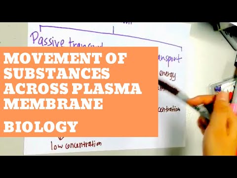 Biology - Movement of Substances Across Plasma Membrane Video