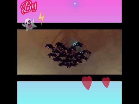 Pablo Rey Feat Rico Femiano - Senorita