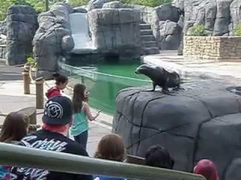 Carleigh and the Sea Lion