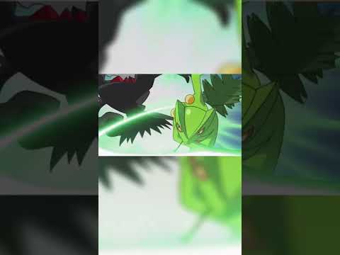 Ash’s Sceptile’s best feat!!!