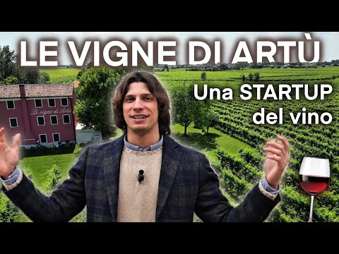 Le VIGNE DI ARTÙ: una startup del vino 🥂🍾👀