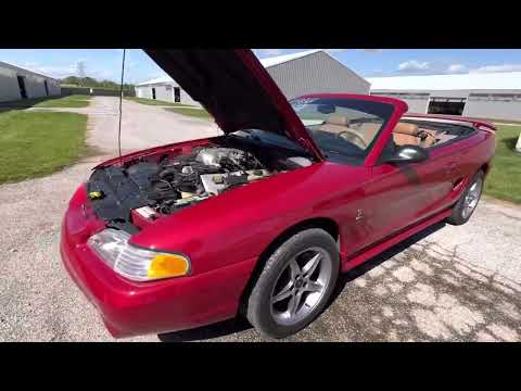 1998 Ford Mustang SVT Cobra (CC-1655151) for sale in Staunton, Illinois